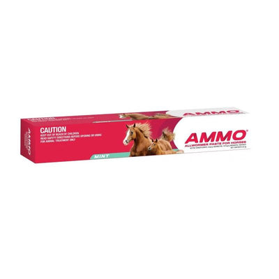 Ammo All Wormer Paste For Horses Mint 32.5g