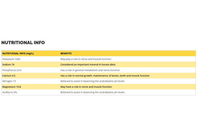 Nrg Garlic & Apple Cider Vinegar Natural Fermented Horse Supplement 1L