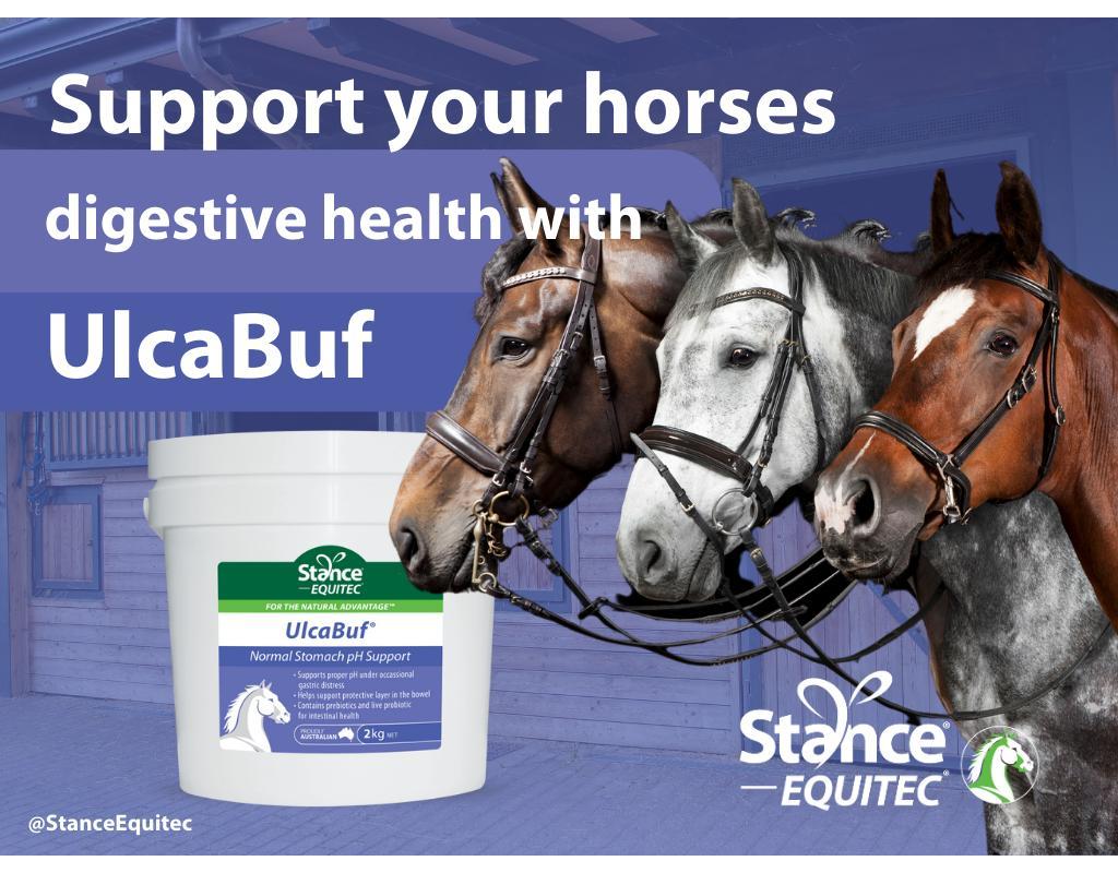 Stance Equitec Ulcabuf Horses Normal Stomach Support Supplement 2kg