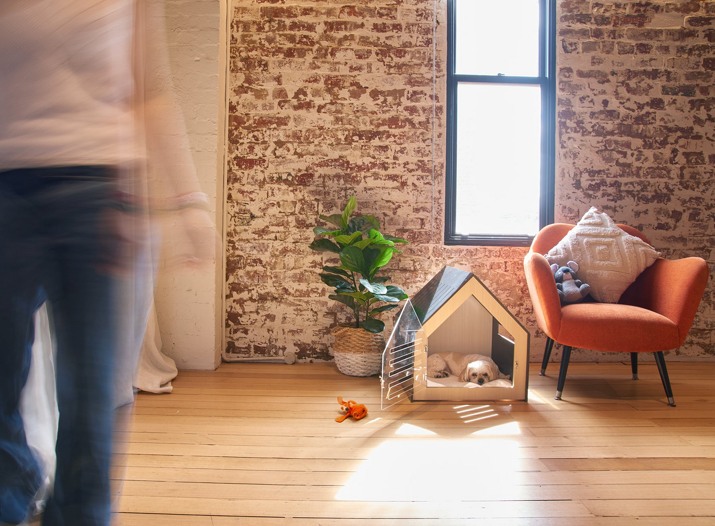 Modern Indoor Dog Crate - White Plywood & Acrylic Door