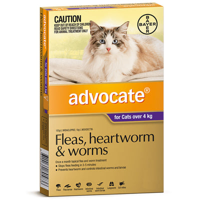 ADVOCATE CAT  4KG PLUS LARGE 3'S