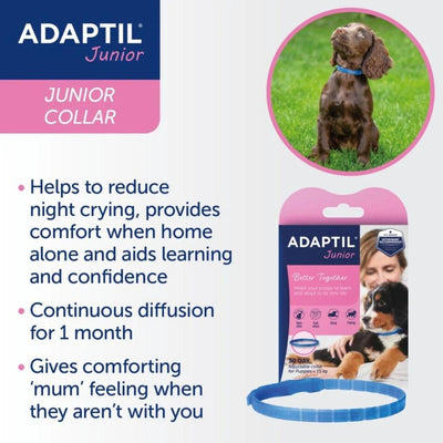 Adaptil Collar Junior