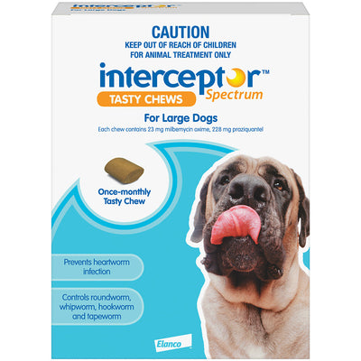 INTERCEPTOR LARGE DOG BLUE 6 CHEWS