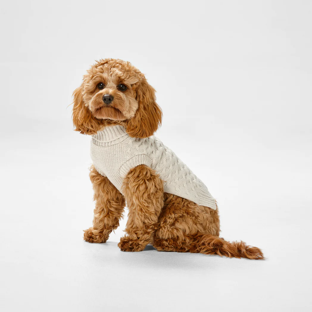 Rpet Knit Polo Oatmeal M