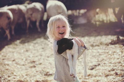Caring for your pet lamb