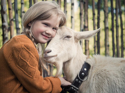 Raising Goats