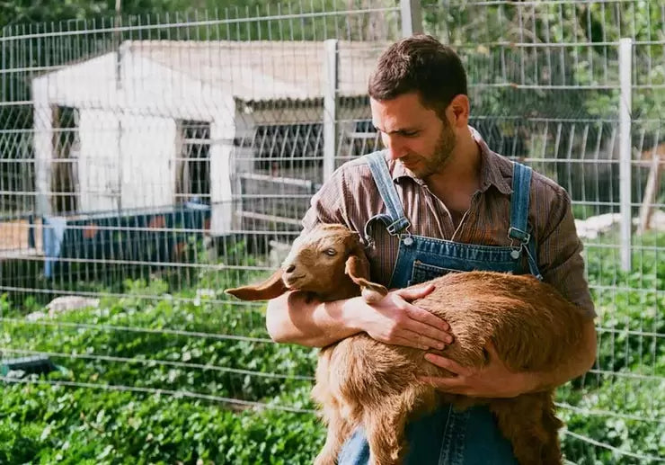 Keeping Your Goats Warm During Winter