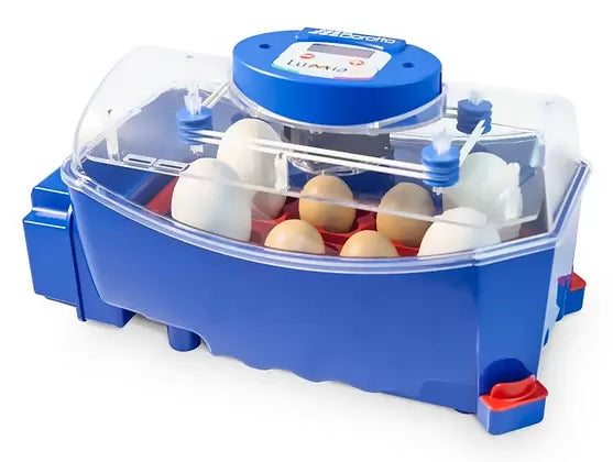 Borotto Chicken Poultry Duck Quail Egg Incubator Lumia 16 Automatic