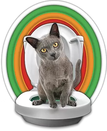 Cat Toilet Training System 3 Step Litter Kwitter