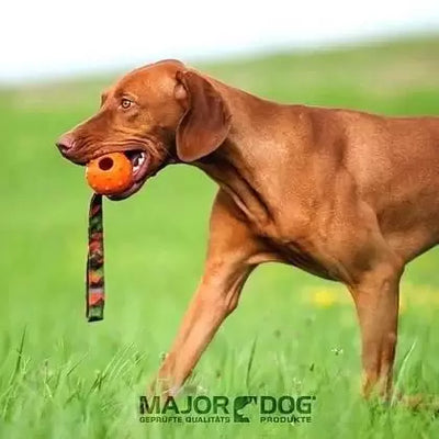 Speed Sling Dog Toy