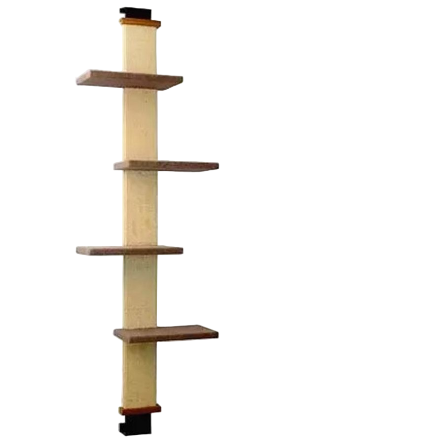 Wooden shelf with five shelves on a white background, showing measurement of 203cm.
