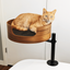 Desk Nest Cat Bed - The Purrfect Cat Bed for Your Desk - White Oak