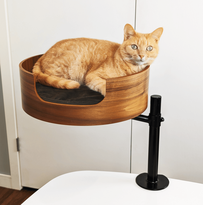 Desk Nest Cat Bed - The Purrfect Cat Bed for Your Desk - White Oak