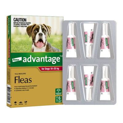 Advantage For Dogs 10-25kg 6 Pack