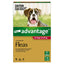 Advantage For Dogs 10-25kg 4 Pack