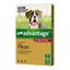 Advantage For Dogs 10-25kg 6 Pack