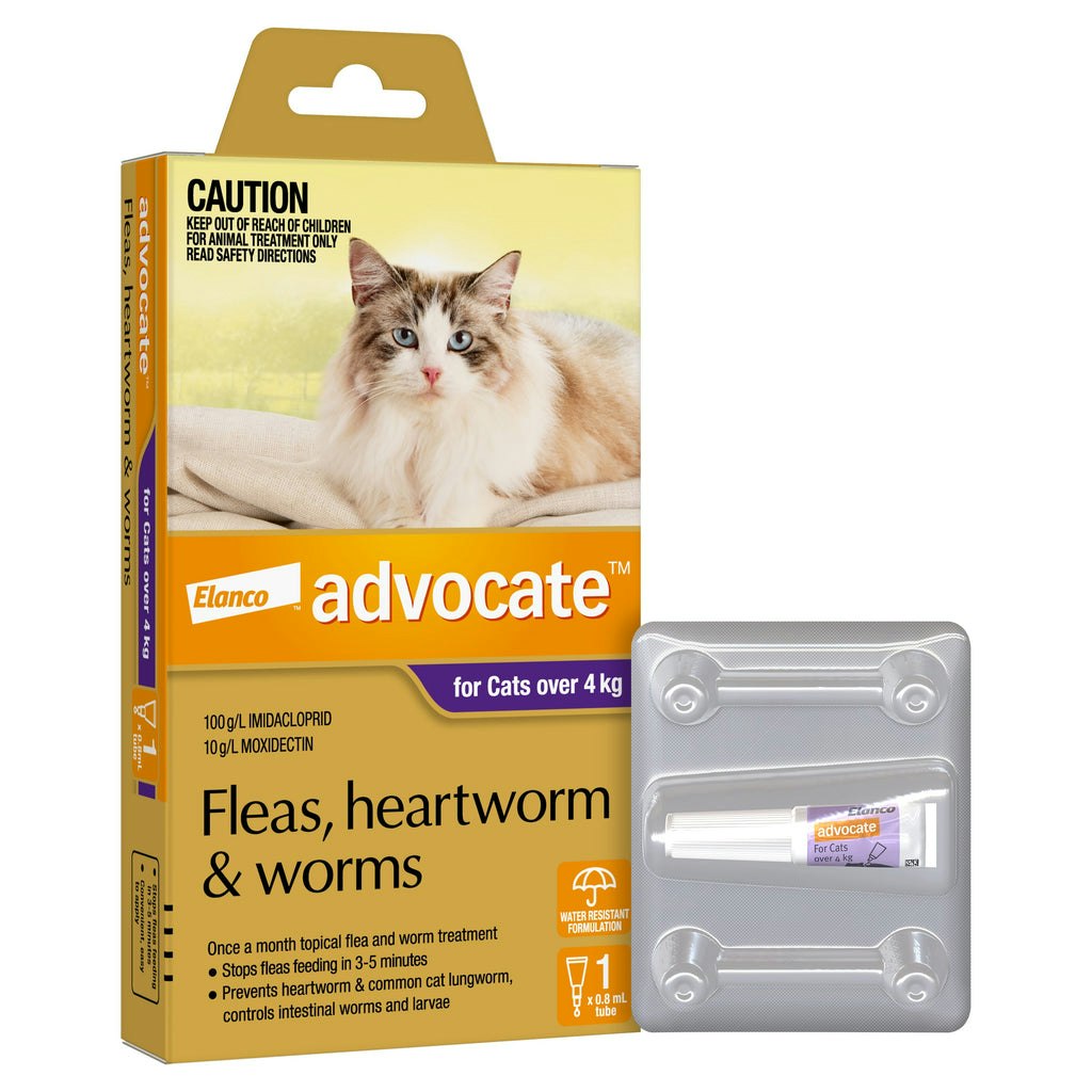 Advocate Flea Heartworm And Worm Treatment For Cats 0-4kg Orange 1 Pack