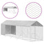 Andala Pets Outdoor Dog Kennel with Roof Silver 2x10x2.5 m Galvanised Steel