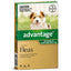 Advantage Flea Treatment For Dogs 0-4kg Green 4 Pack