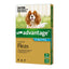 Advantage For Dogs 4-10kg 4 Pack