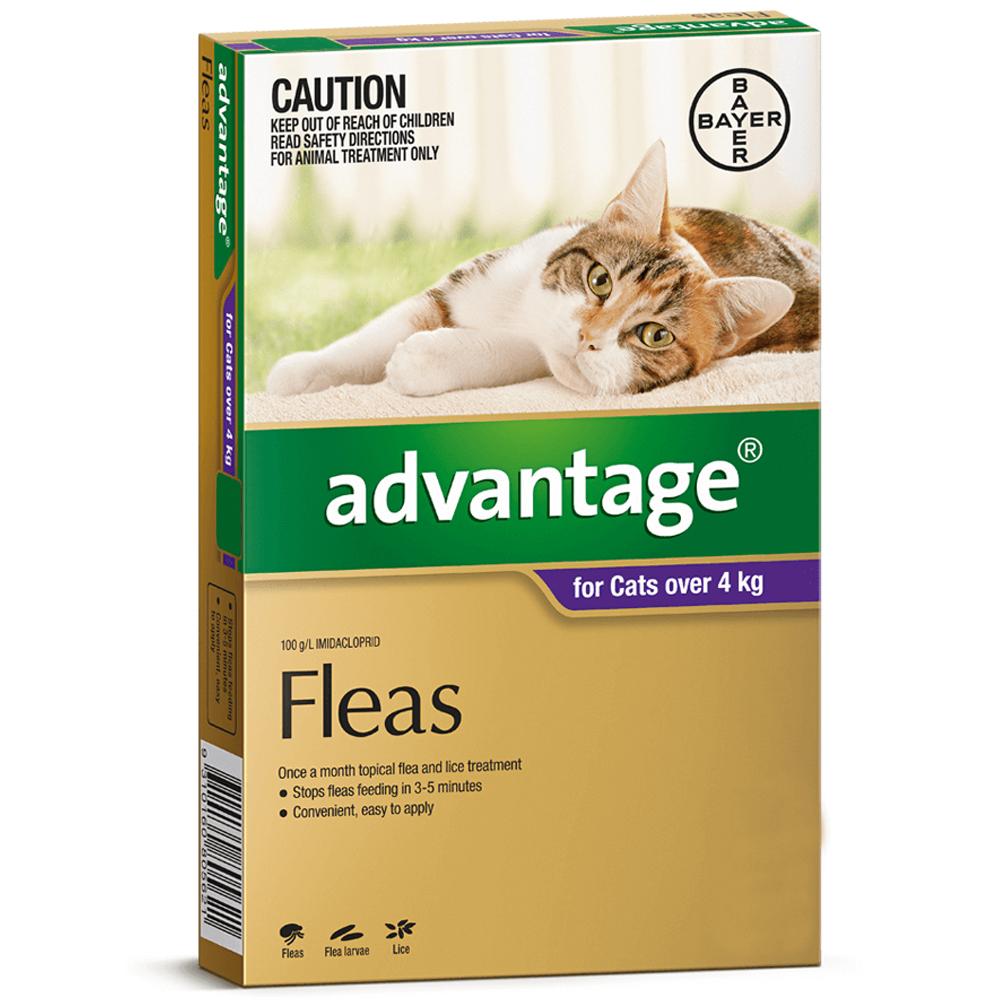 Advantage Flea Treatment For Cats 4kg Purple 4 Pack