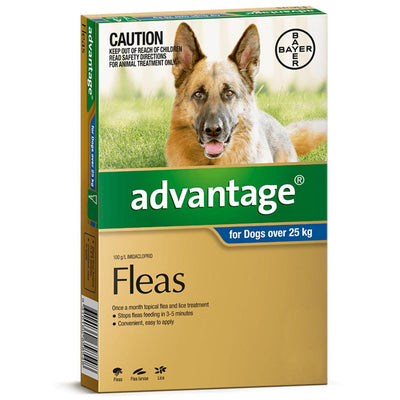 Advantage Flea Treatment For Dogs 25kg+ Blue 4 Pack