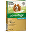 Advantage For Dogs 4-10kg 6 Pack