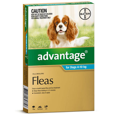 Advantage For Dogs 4-10kg 6 Pack