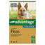 Advantage Flea Treatment For Dogs 25kg + Blue 6 Pack
