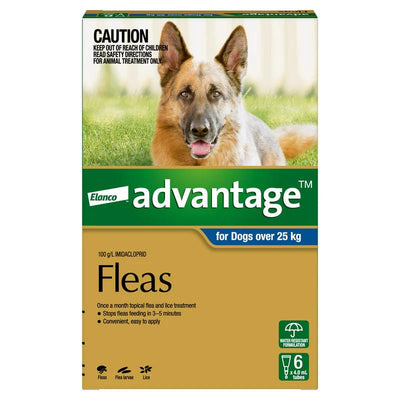 Advantage Flea Treatment For Dogs 25kg + Blue 6 Pack