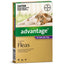 Advantage Flea Treatment For Cats 4kg Purple 1 Pack