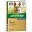 Advantage Flea Treatment For Dogs 25kg + Blue 1 Pack
