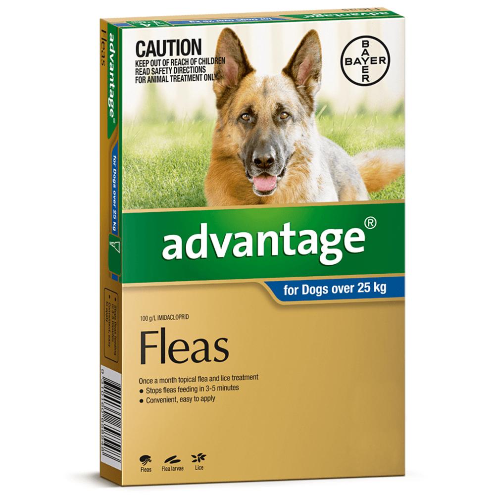 Advantage Flea Treatment For Dogs 25kg + Blue 1 Pack