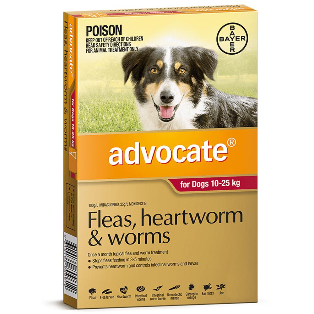 Advocate Flea Heartworm And Worm Treatment For Dogs 10-25kg Red 1 Pack