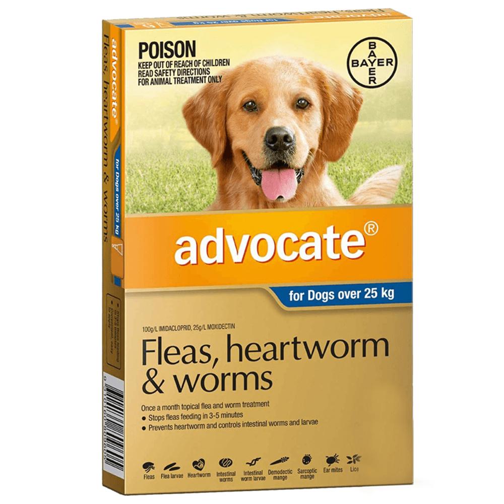 Advocate Flea Heartworm And Worm Treatment For Dogs 25kg Blue 1 Pack