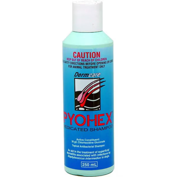 Dermcare Pyohex Shampoo 250ml - Free Shipping