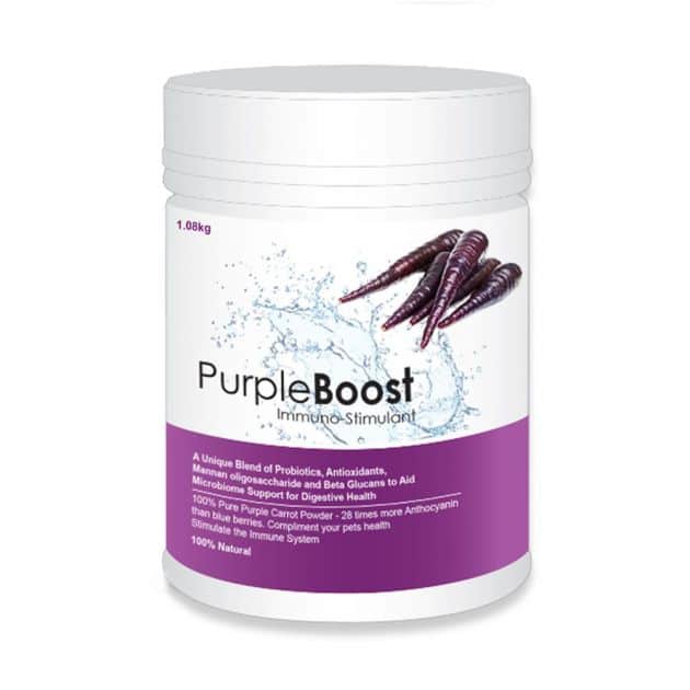 LIFEWISE PURPLE BOOST 1.08KG