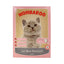 Wombaroo Cat Milk 20kg