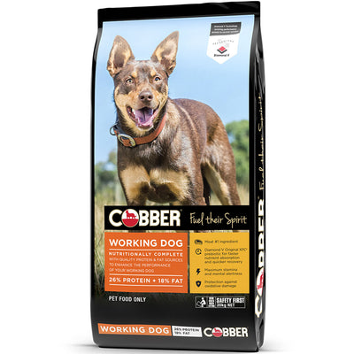 COBBER WORKDOG 20KG