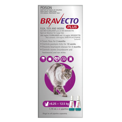 Bravecto Plus Spot On For Large Cats 6.25 - 12.5kg 2 Pack