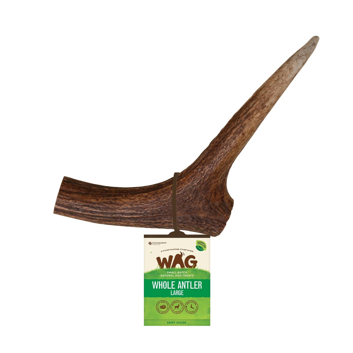 WAG Antler Whole Large Treat