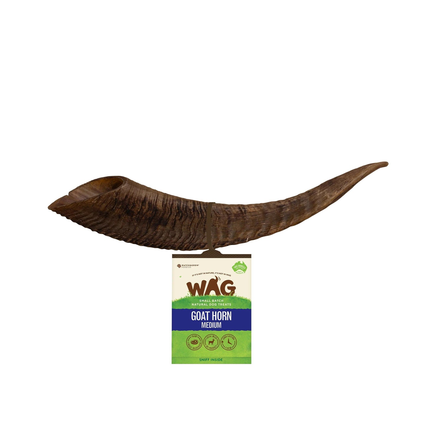 WAG Goat Horn Medium Treat