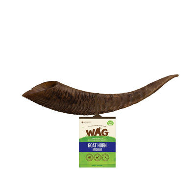 WAG Goat Horn Medium Treat