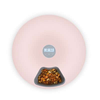 Andala Pets 6 Meal Automatic Feeder Dispenser
