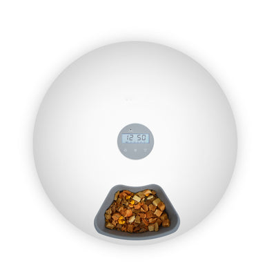 Andala Pets 6 Meal Automatic Feeder Dispenser