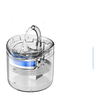 Charging Water Dispenser Including Adapter