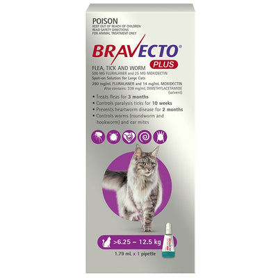 Bravecto Plus For Large Cats 6.25 - 12.5 Kg (Purple)