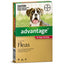 Advantage Dog 10-25kg Large 6pk Red
