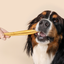 WAG Cheek Stick Regular Treats