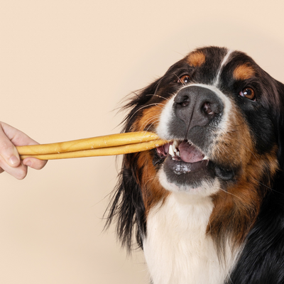 WAG Cheek Stick Regular Treats